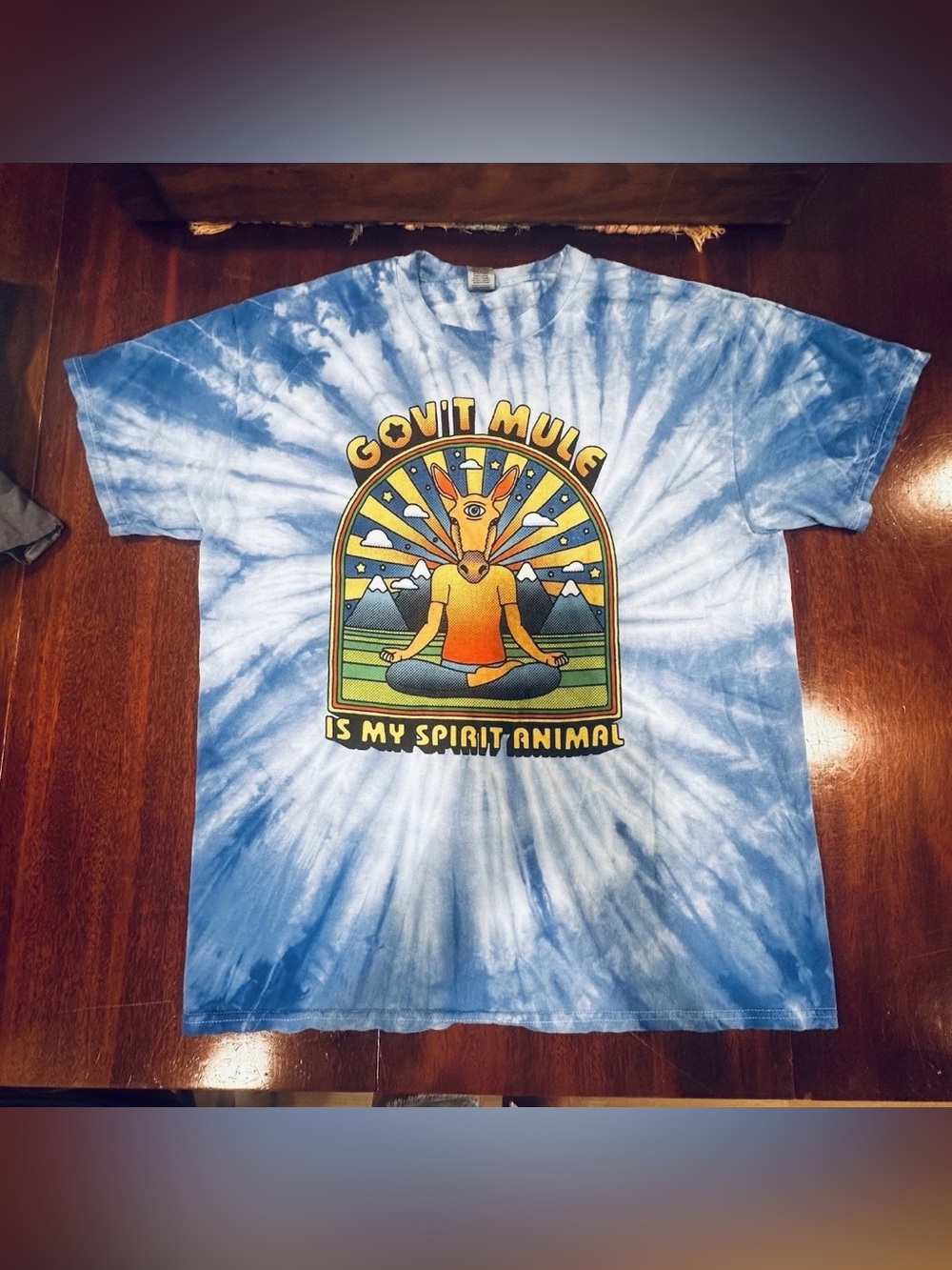 Gov’t Mule Is My Spirit Animal Large Tie-Dye Rock Band Tour Tee T-Shirt